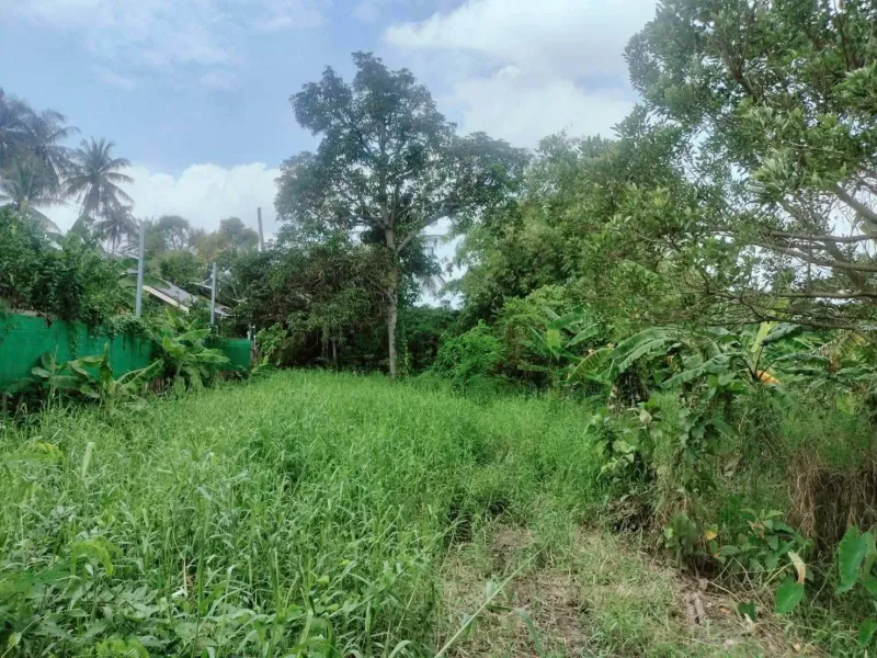 รูปที่7 ต้องการขายที่ดินเปล่า บางกร่าง เมืองนนทบุรี ราคา 30,000,000 บาท