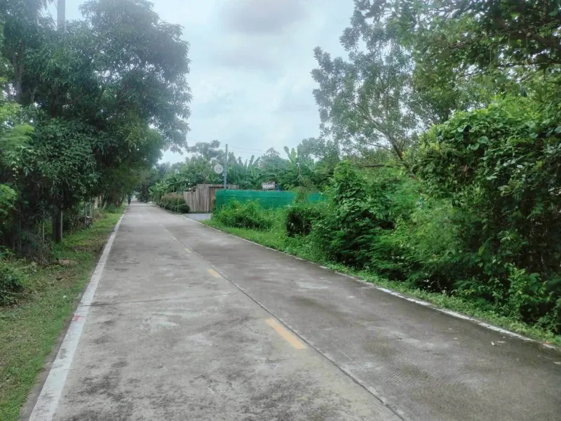 รูปที่8 ต้องการขายที่ดินเปล่า บางกร่าง เมืองนนทบุรี ราคา 30,000,000 บาท