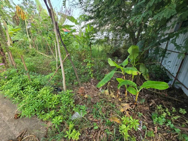 รูปที่6 ต้องการขายที่ดินเปล่า บางคูรัด บางบัวทอง ราคา 720,000 บาท