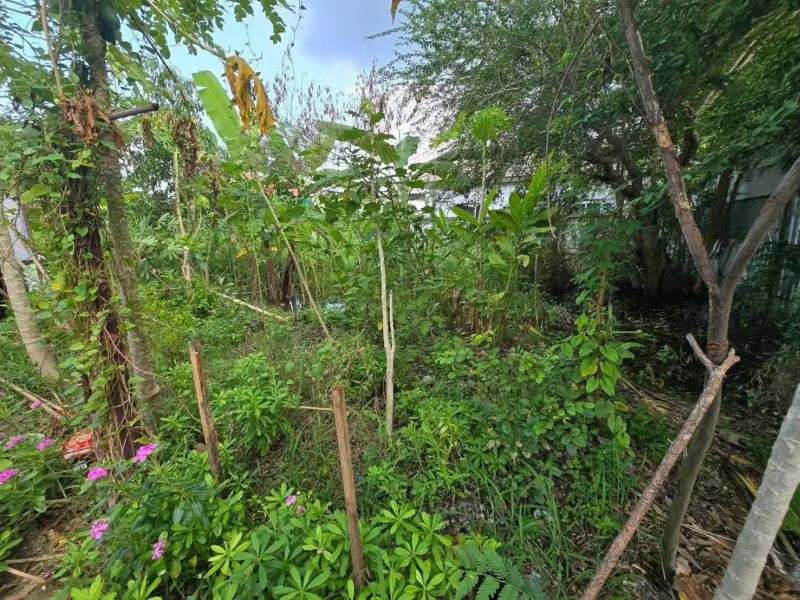 รูปที่7 ต้องการขายที่ดินเปล่า บางคูรัด บางบัวทอง ราคา 720,000 บาท