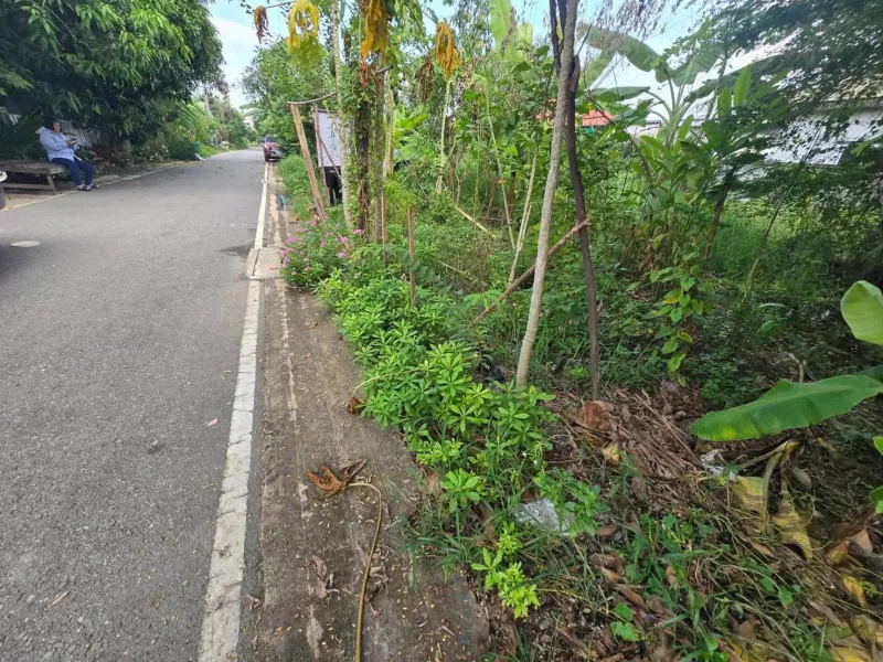 รูปที่8 ต้องการขายที่ดินเปล่า บางคูรัด บางบัวทอง ราคา 720,000 บาท