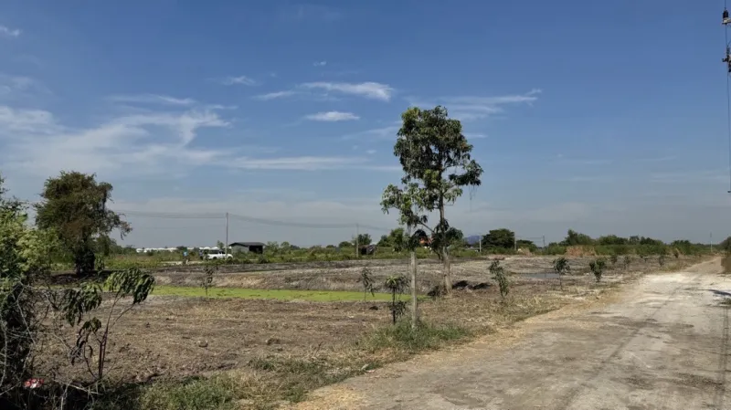 ขายที่ดิน 5 ไร่ ลำลูกกา คลอง 12 ทำเลดี ติดแหล่งชุมชน