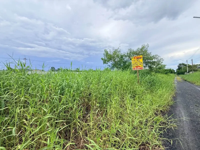 ายด่วนที่ดินใกล้รพ.คลองหลวง 130 ตรว ติดถนนสาธารณะ ซ.คลองห้าตะวันออก 30 อ.คลองหลวง จ.ปทุมธานี