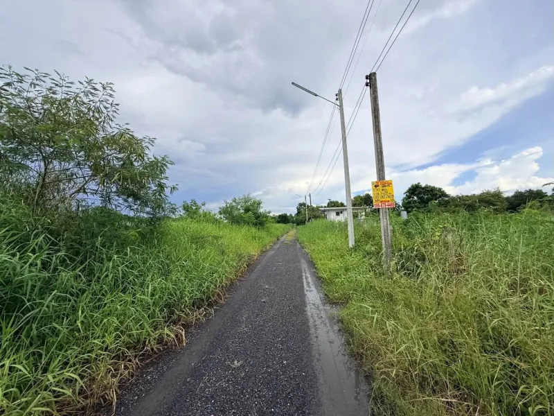 รูปที่3 ต้องการขายที่ดินเปล่า คลองห้า คลองหลวง ราคา 950,000 บาท