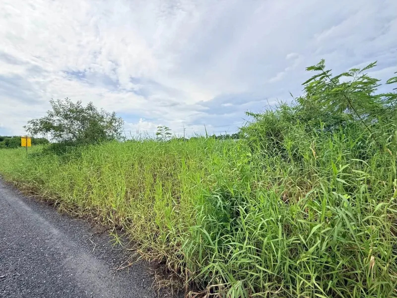 รูปที่4 ต้องการขายที่ดินเปล่า คลองห้า คลองหลวง ราคา 950,000 บาท