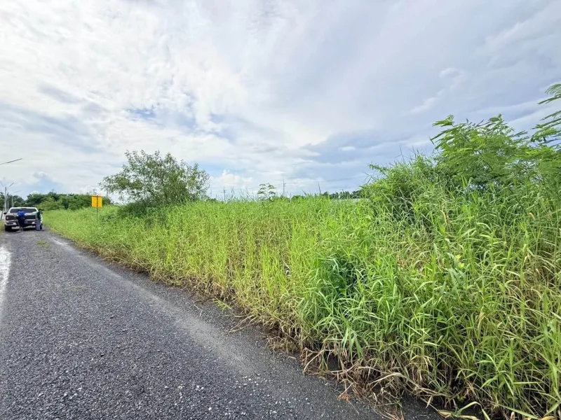รูปที่7 ต้องการขายที่ดินเปล่า คลองห้า คลองหลวง ราคา 950,000 บาท