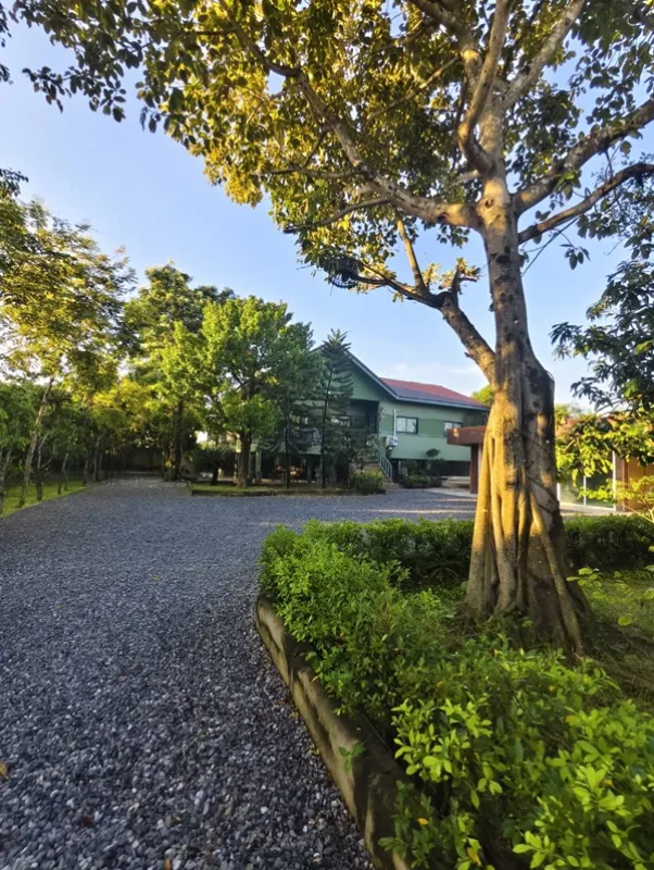 รูปที่2 ต้องการขายบ้านพร้อมที่ดิน บึงกาสาม หนองเสือ ราคา 8,700,000 บาท