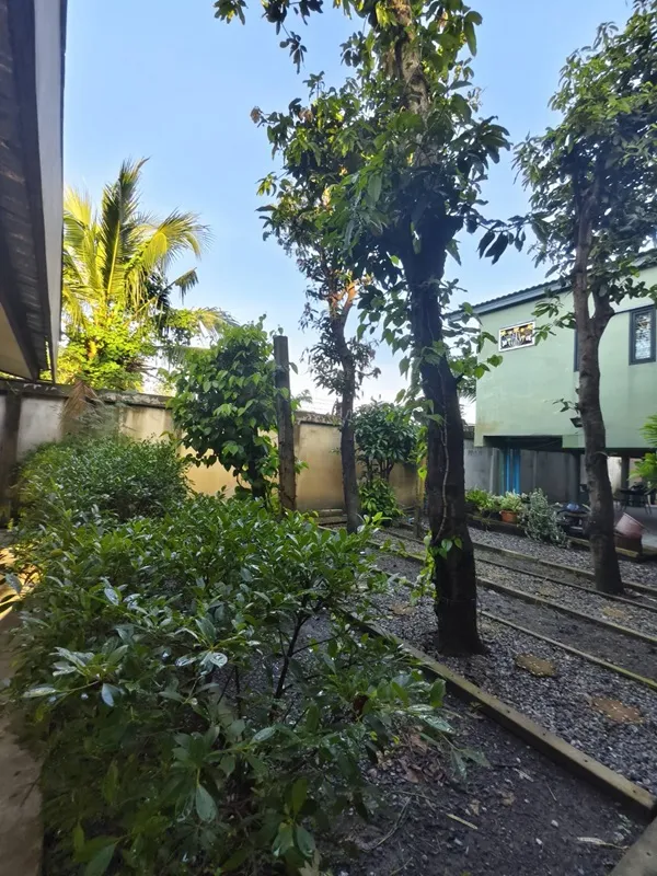 รูปที่8 ต้องการขายบ้านพร้อมที่ดิน บึงกาสาม หนองเสือ ราคา 8,700,000 บาท