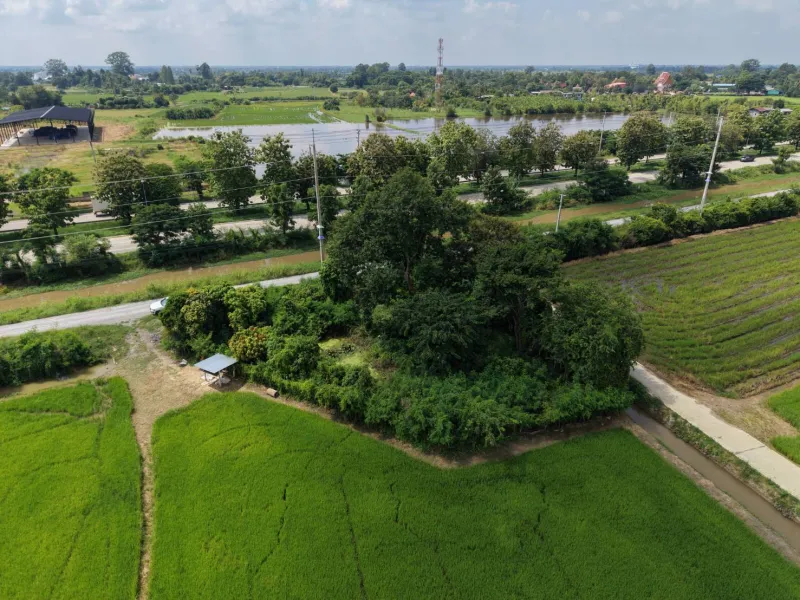 รูปที่3 ต้องการขายที่ดินเปล่า วังน้ำซับ ศรีประจันต์ ราคา 700,000 บาท