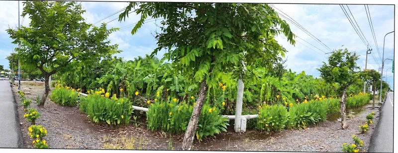 รูปที่2 ต้องการขายที่ดินเปล่า คลองสิบ เขตหนองจอก ราคา 41,600,000 บาท