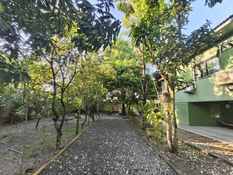 รูปที่7 ต้องการขายบ้านพร้อมที่ดิน บึงกาสาม หนองเสือ ราคา 8,700,000 บาท