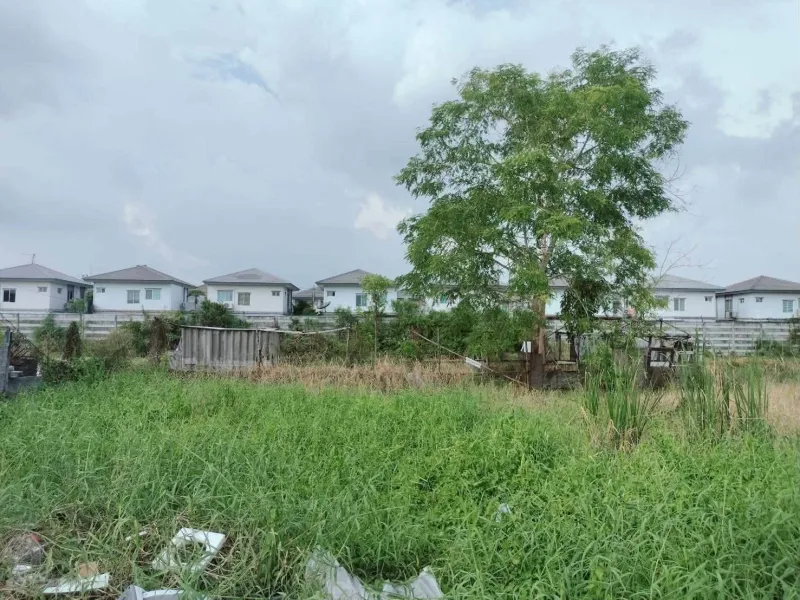 รูปที่3 ต้องการขายที่ดินเปล่า คลองสาม คลองหลวง ราคา 1,350,000 บาท