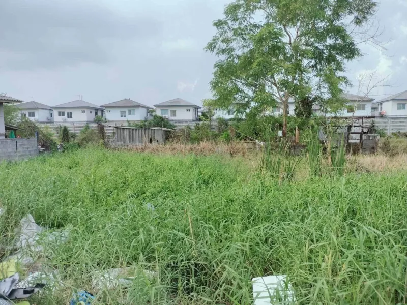 รูปที่6 ต้องการขายที่ดินเปล่า คลองสาม คลองหลวง ราคา 1,350,000 บาท