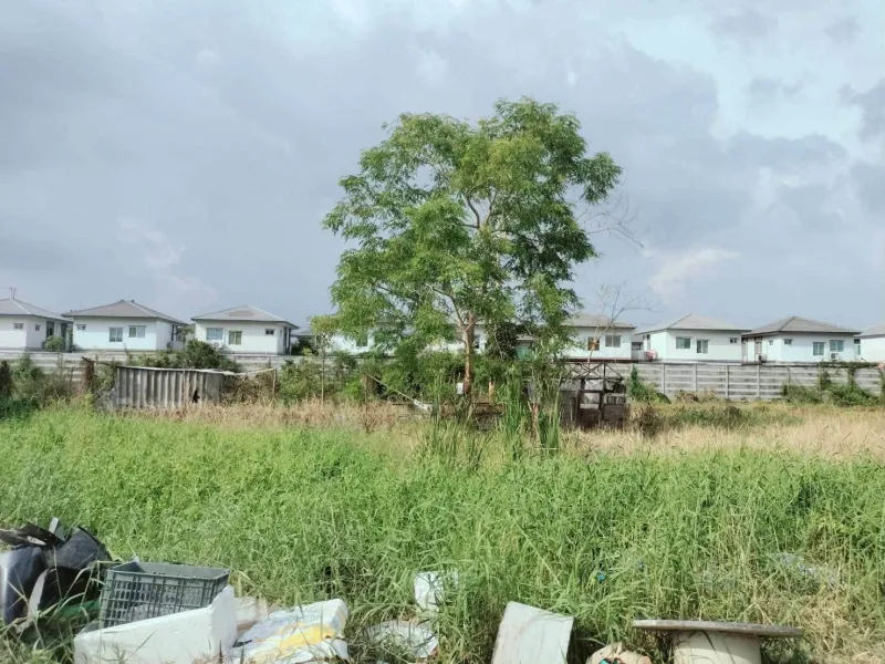 รูปที่7 ต้องการขายที่ดินเปล่า คลองสาม คลองหลวง ราคา 1,350,000 บาท
