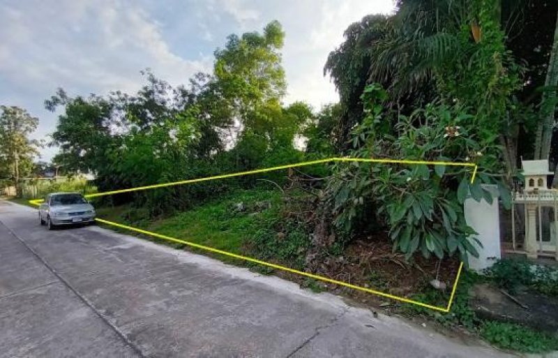 รูปที่2 ต้องการขายที่ดินเปล่า สันกำแพง สันกำแพง ราคา 1,550,000 บาท