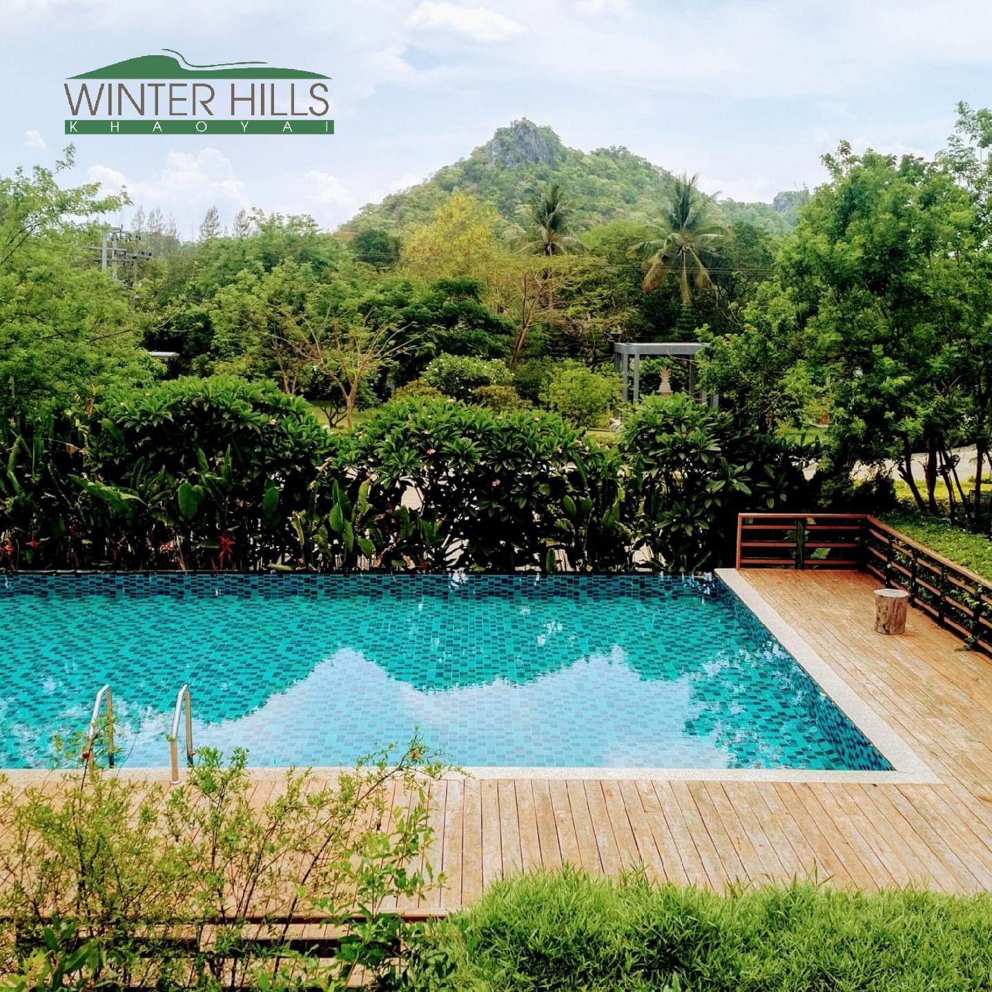 รูปที่8 ต้องการขายที่ดินเปล่า พญาเย็น ปากช่อง ราคา 2,900,000 บาท