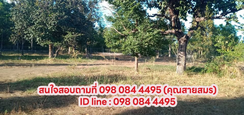 รูปที่6 ต้องการขายที่ดินเปล่า นิคมสร้างตนเองลำโดมน้อย สิรินธร  