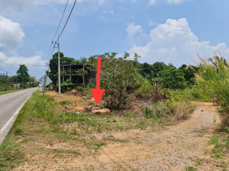 รูปที่3 ต้องการขายที่ดินเปล่า เกาะช้าง เกาะช้าง ราคา 45,000,000 บาท