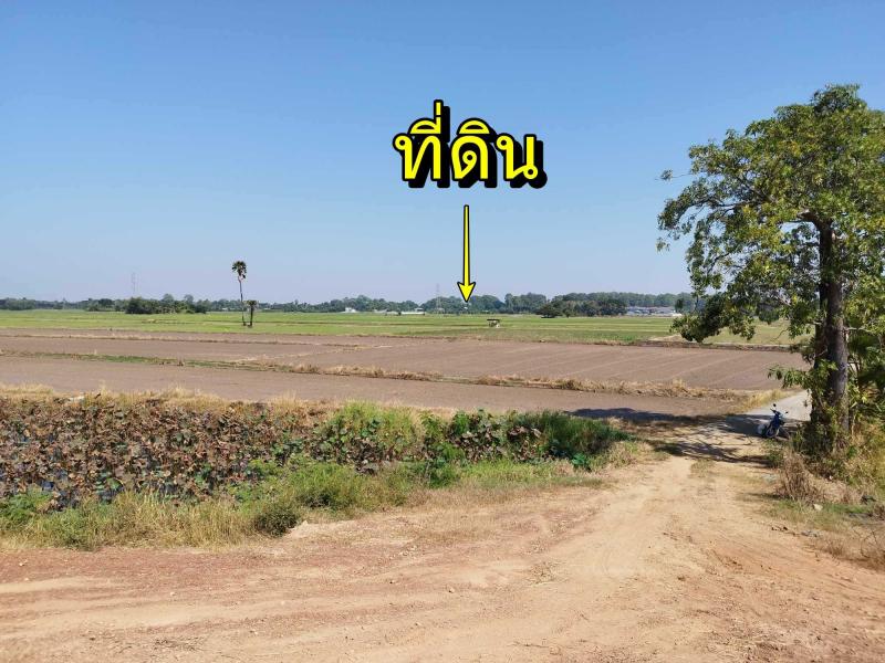 รูปภาพสินทรัพย์