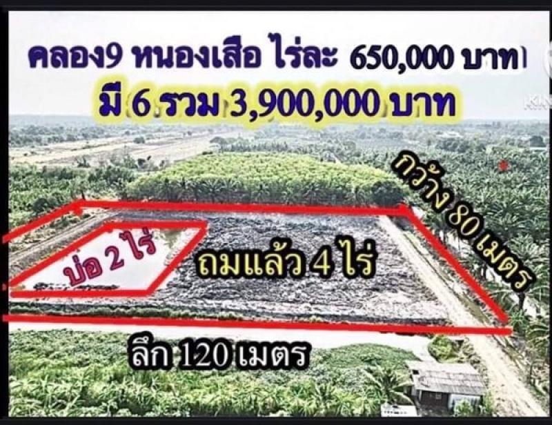 รูปที่2 ต้องการขายที่ดินเปล่า บึงบา หนองเสือ ราคา 3,720,000 บาท