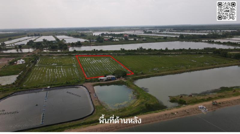 รูปที่4 ต้องการขายที่ดินเปล่า ศรีจุฬา เมืองนครนายก ราคา 1,390,000 บาท