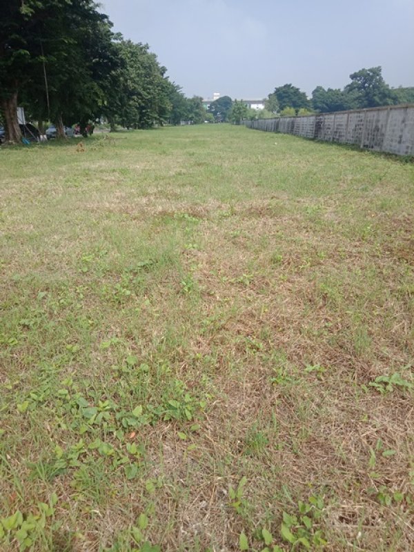 รูปที่2 ต้องการขายที่ดินเปล่า สะพานสูง เขตสะพานสูง ราคา 18,300,000 บาท