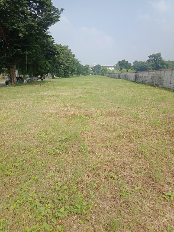 รูปที่6 ต้องการขายที่ดินเปล่า สะพานสูง เขตสะพานสูง ราคา 18,300,000 บาท