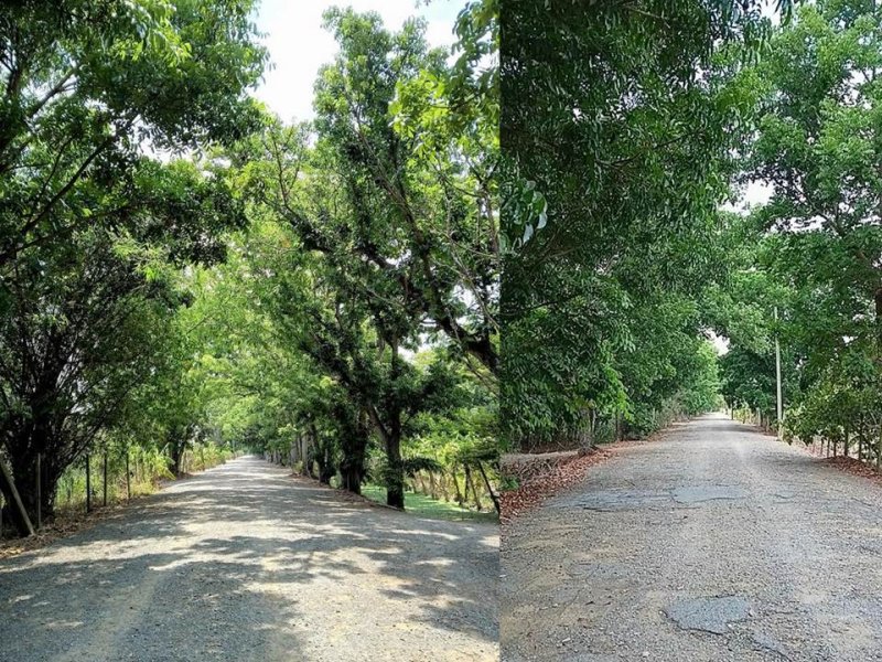 รูปที่2 ต้องการขายที่ดินเปล่า พืชอุดม ลำลูกกา ราคา 2,100,000 บาท