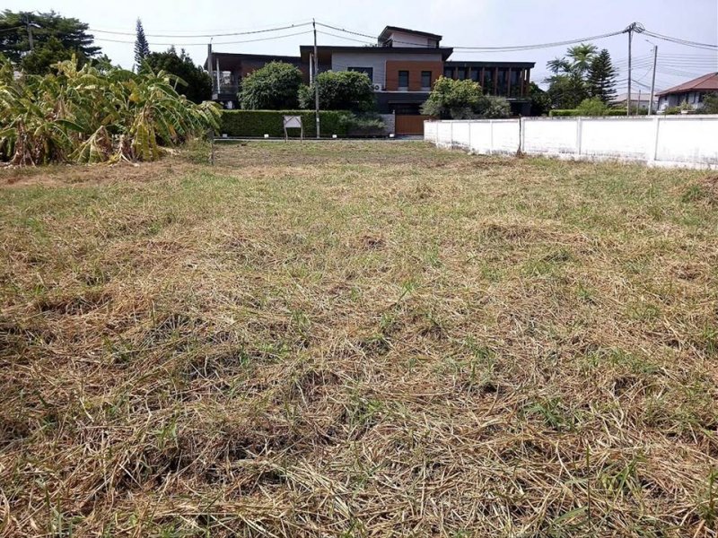 รูปที่8 ต้องการขายที่ดินเปล่า สามวาตะวันตก เขตคลองสามวา ราคา 4,800,000 บาท