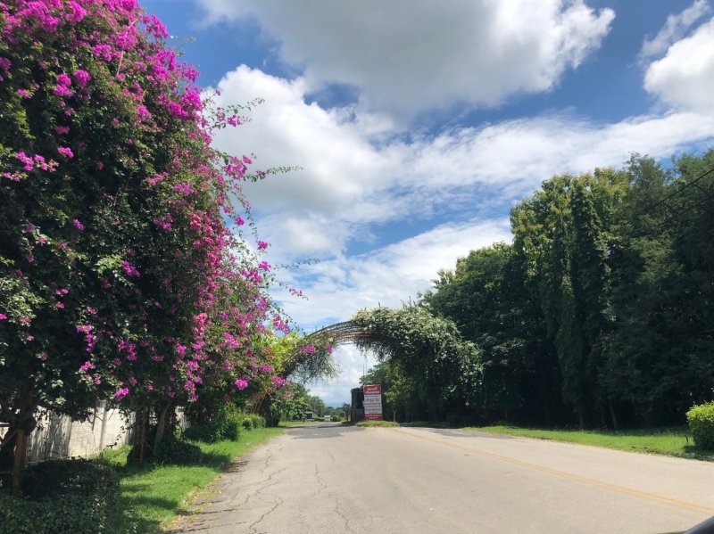 รูปที่3 ต้องการขายที่ดินเปล่า สันกำแพง สันกำแพง ราคา 8,100,500 บาท