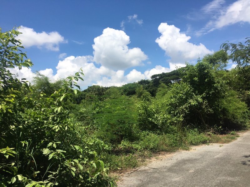 รูปที่5 ต้องการขายที่ดินเปล่า สันกำแพง สันกำแพง ราคา 8,100,500 บาท