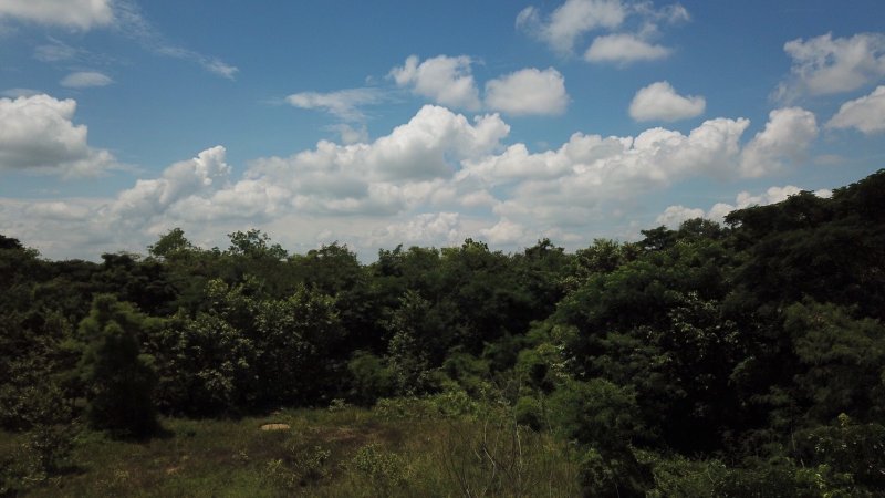 รูปที่6 ต้องการขายที่ดินเปล่า สันกำแพง สันกำแพง ราคา 8,100,500 บาท