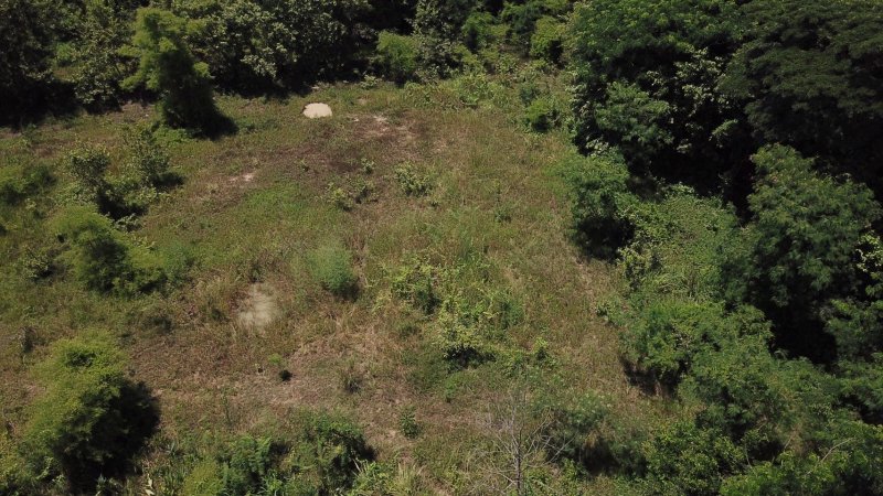 รูปที่7 ต้องการขายที่ดินเปล่า สันกำแพง สันกำแพง ราคา 8,100,500 บาท