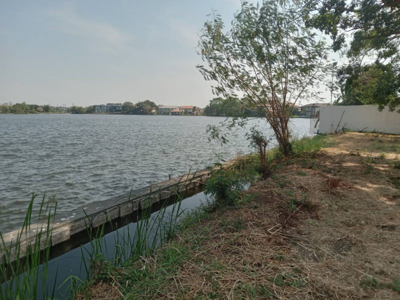 รูปที่7 ต้องการขายที่ดินเปล่า ท้ายเกาะ สามโคก ราคา 7,500,000 บาท