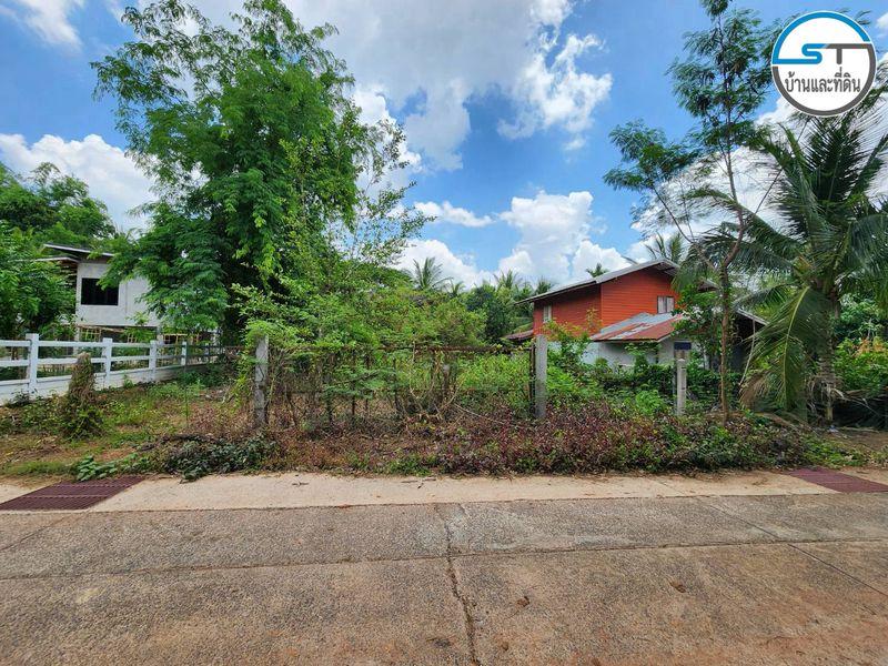 รูปที่6 ต้องการขายที่ดินเปล่า เมืองศรีไค วารินชำราบ ราคา 1,490,000 บาท