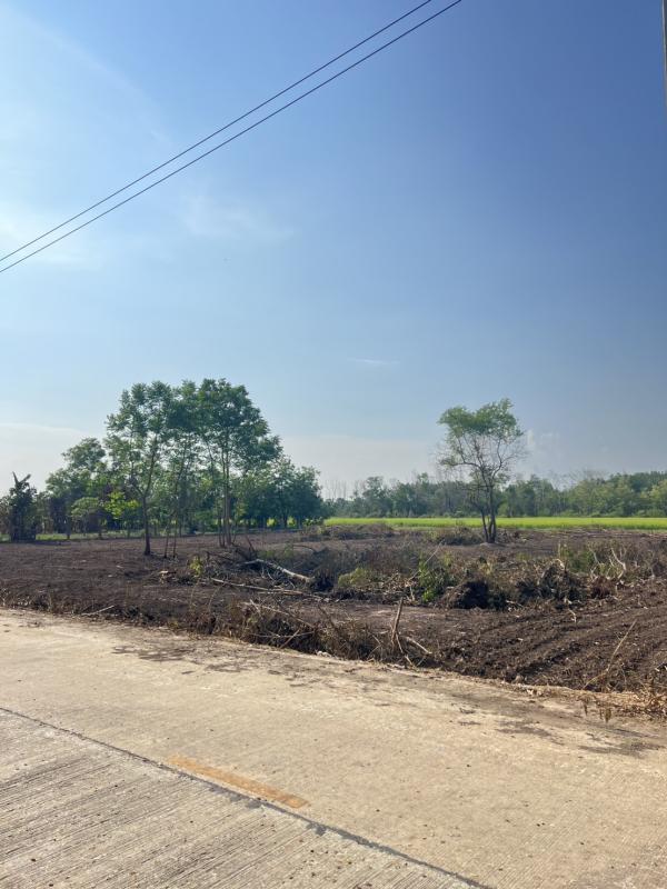 รูปที่4 ต้องการขายบ้านพร้อมที่ดิน คลองหก คลองหลวง  