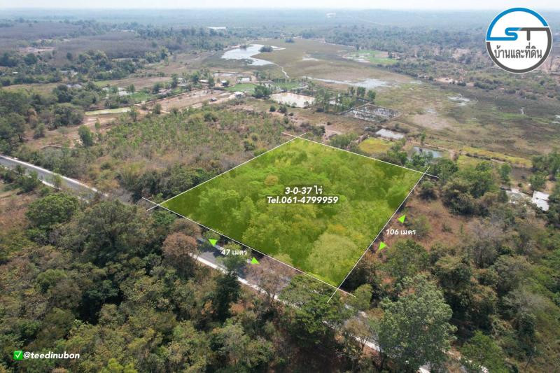 รูปที่2 ต้องการขายที่ดินเปล่า กุดลาด เมืองอุบลราชธานี ราคา 9,000,000 บาท