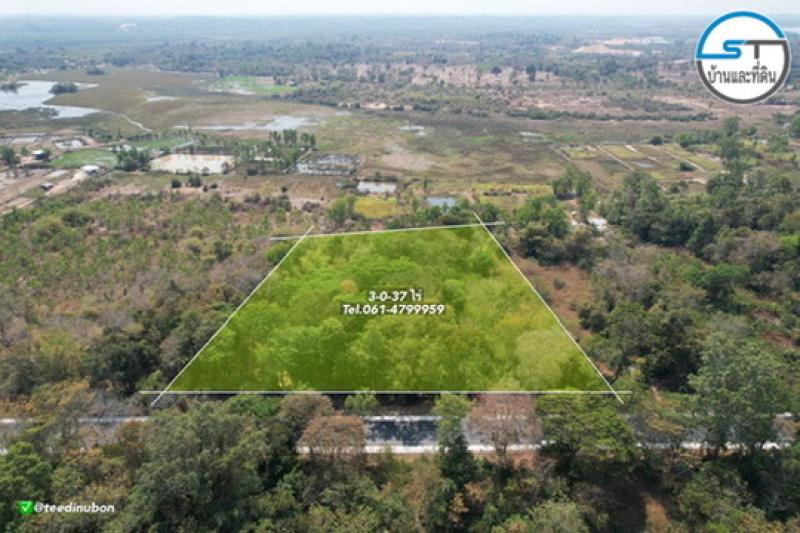 รูปที่3 ต้องการขายที่ดินเปล่า กุดลาด เมืองอุบลราชธานี ราคา 9,000,000 บาท