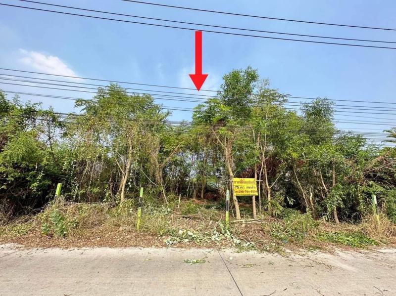รูปที่3 ต้องการขายบ้านพร้อมที่ดิน คลองสอง คลองหลวง ราคา 1,450,000 บาท