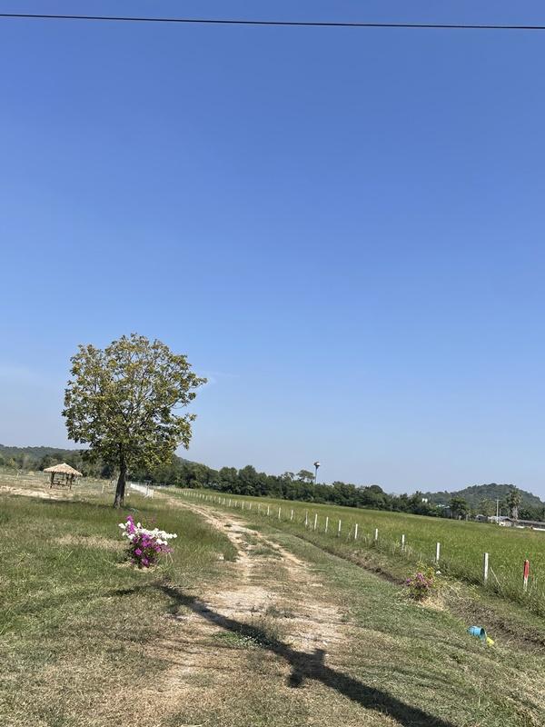 รูปที่7 ต้องการขายที่ดินเปล่า เขาขลุง บ้านโป่ง ราคา 1,560,000 บาท