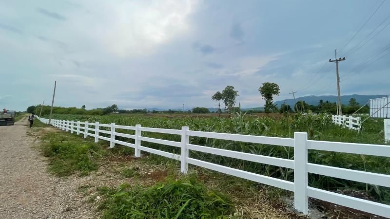 รูปที่6 ต้องการขายที่ดินเปล่า วังชมภู เมืองเพชรบูรณ์ ราคา 350,000 บาท