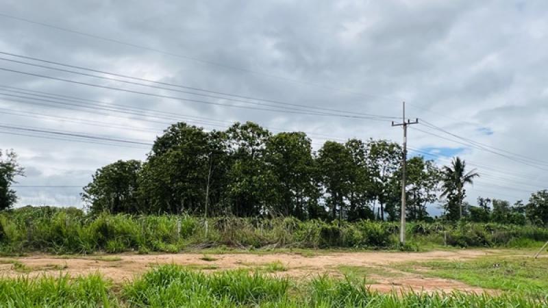 รูปที่5 ต้องการขายที่ดินเปล่า ร่องจิก ภูเรือ ราคา 900,000 บาท