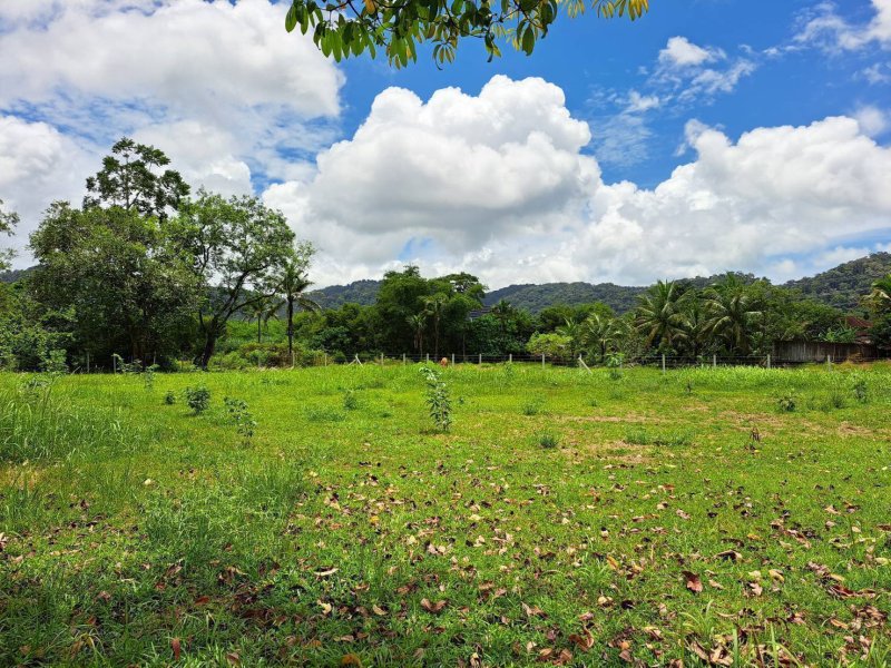 รูปที่3 ต้องการขายที่ดินเปล่า เทพกระษัตรี ถลาง ราคา 16,000,000 บาท