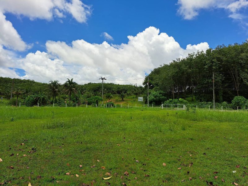 รูปที่4 ต้องการขายที่ดินเปล่า เทพกระษัตรี ถลาง ราคา 16,000,000 บาท