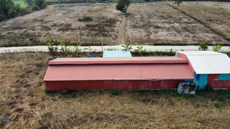 รูปที่7 ต้องการขายบ้านพร้อมที่ดิน บ้านหลวง แม่อาย ราคา 4,000,000 บาท