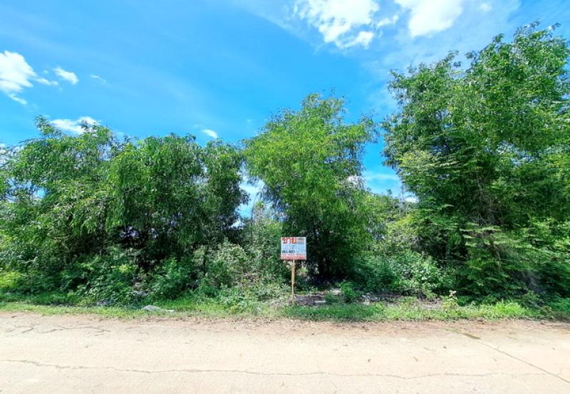 รูปที่2 ต้องการขายที่ดินเปล่า คลองสอง คลองหลวง ราคา 4,000,000 บาท