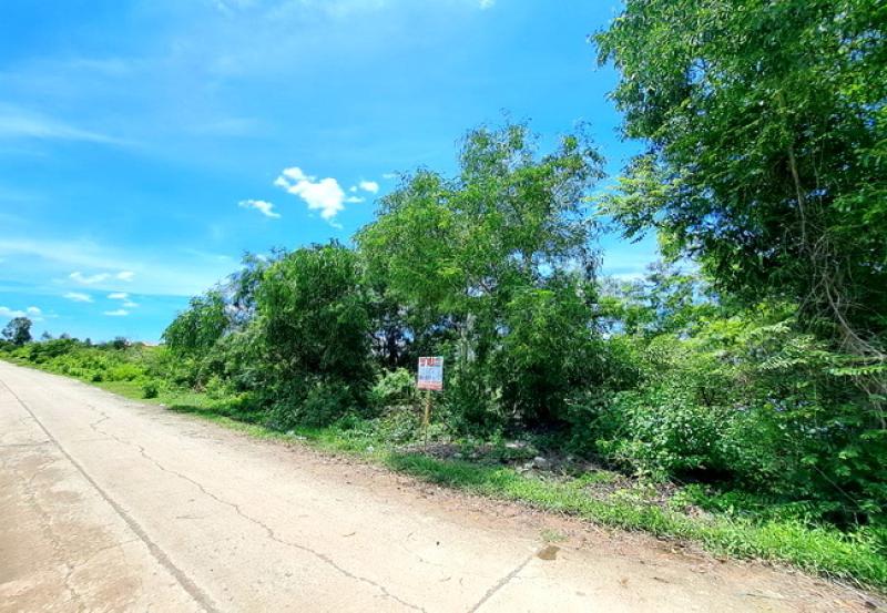 รูปที่3 ต้องการขายที่ดินเปล่า คลองสอง คลองหลวง ราคา 4,000,000 บาท