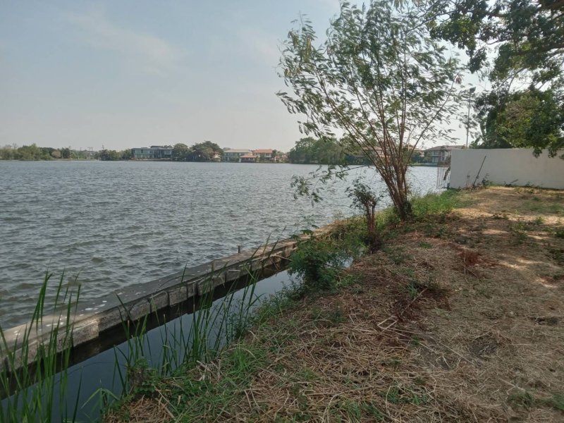 รูปที่5 ต้องการขายที่ดินเปล่า ท้ายเกาะ สามโคก ราคา 7,500,000 บาท