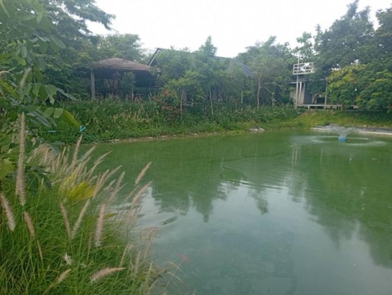 รูปที่5 ต้องการขายที่ดินเปล่า พัฒนานิคม พัฒนานิคม ราคา 12,500,000 บาท