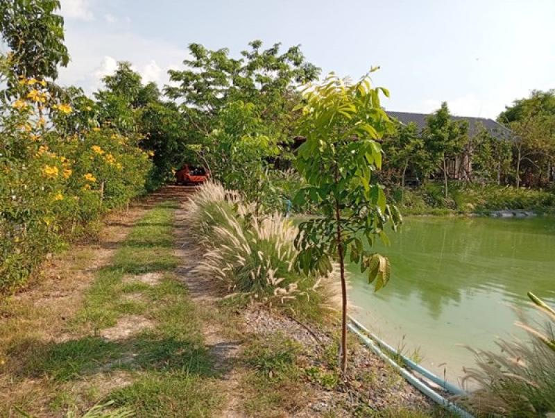 รูปที่6 ต้องการขายที่ดินเปล่า พัฒนานิคม พัฒนานิคม ราคา 12,500,000 บาท